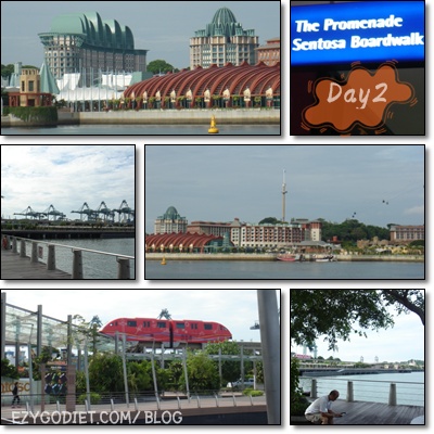 สิงคโปร์3-3 sentosa