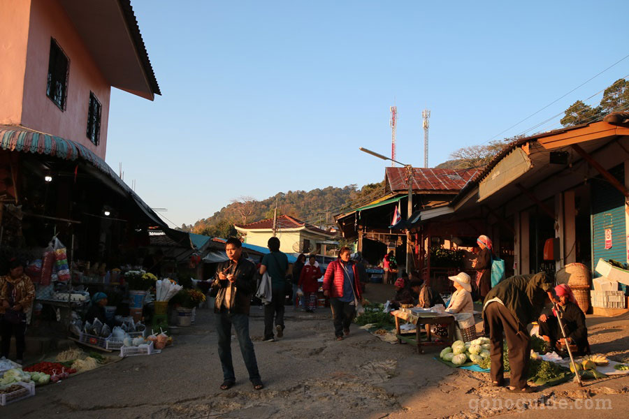 ตลาดเช้า ดอยแม่สลอง