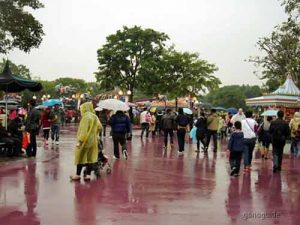 เที่ยวฮ่องกง-49