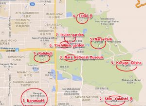 เที่ยวโอซาก้า-31