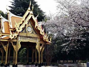 เที่ยวโตเกียว-126