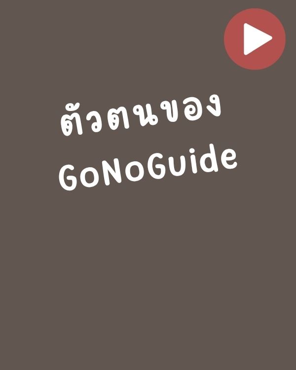 ตัวตนของ GoNoGuide