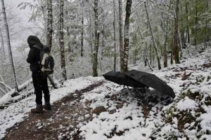 Obersee Röthbachfall